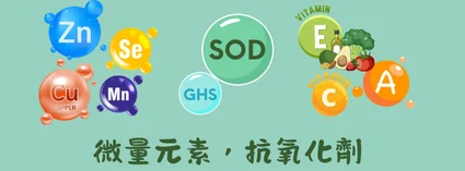 Sod Minh Hoa 7